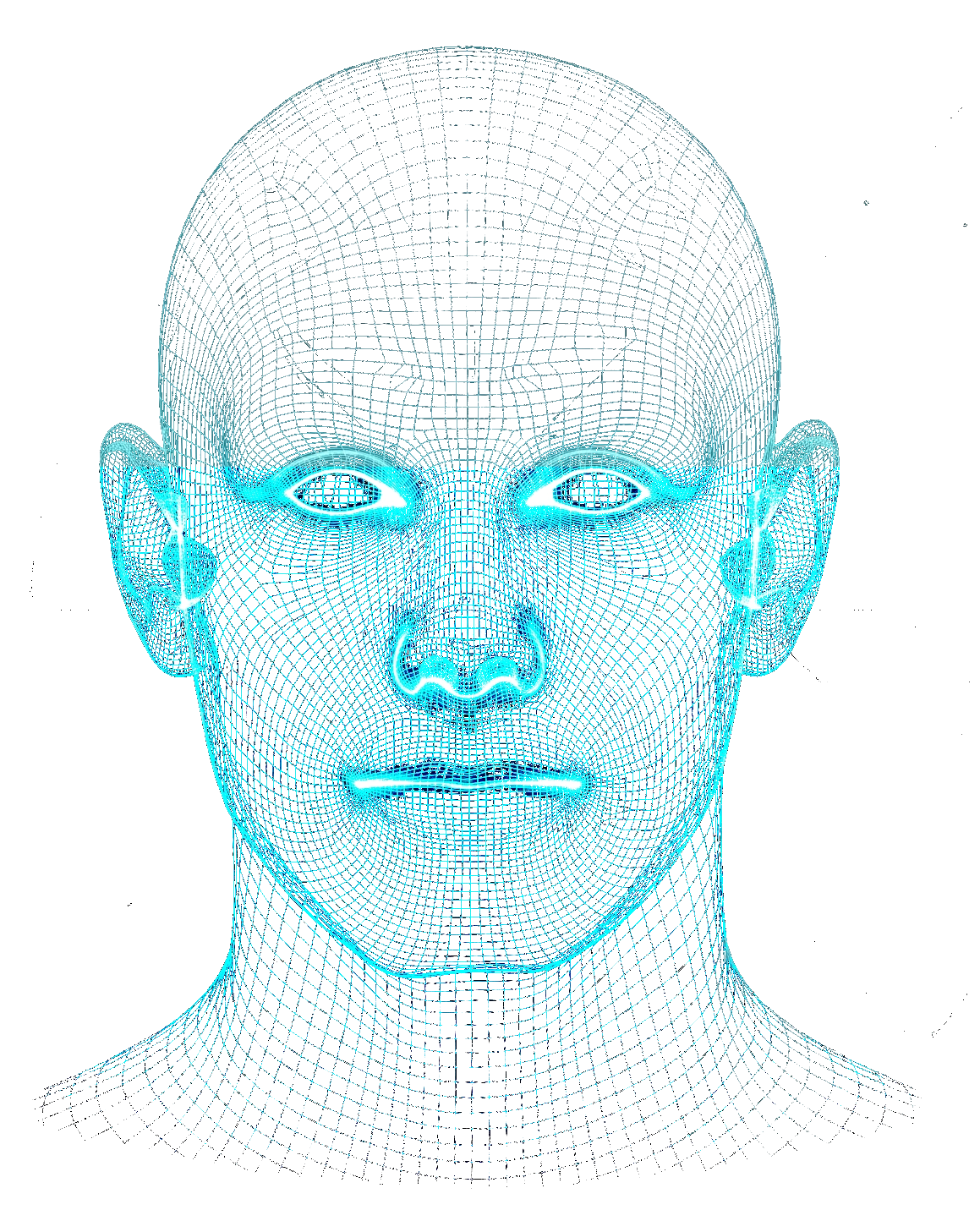 Visage Vectoriel Souverain Manhox